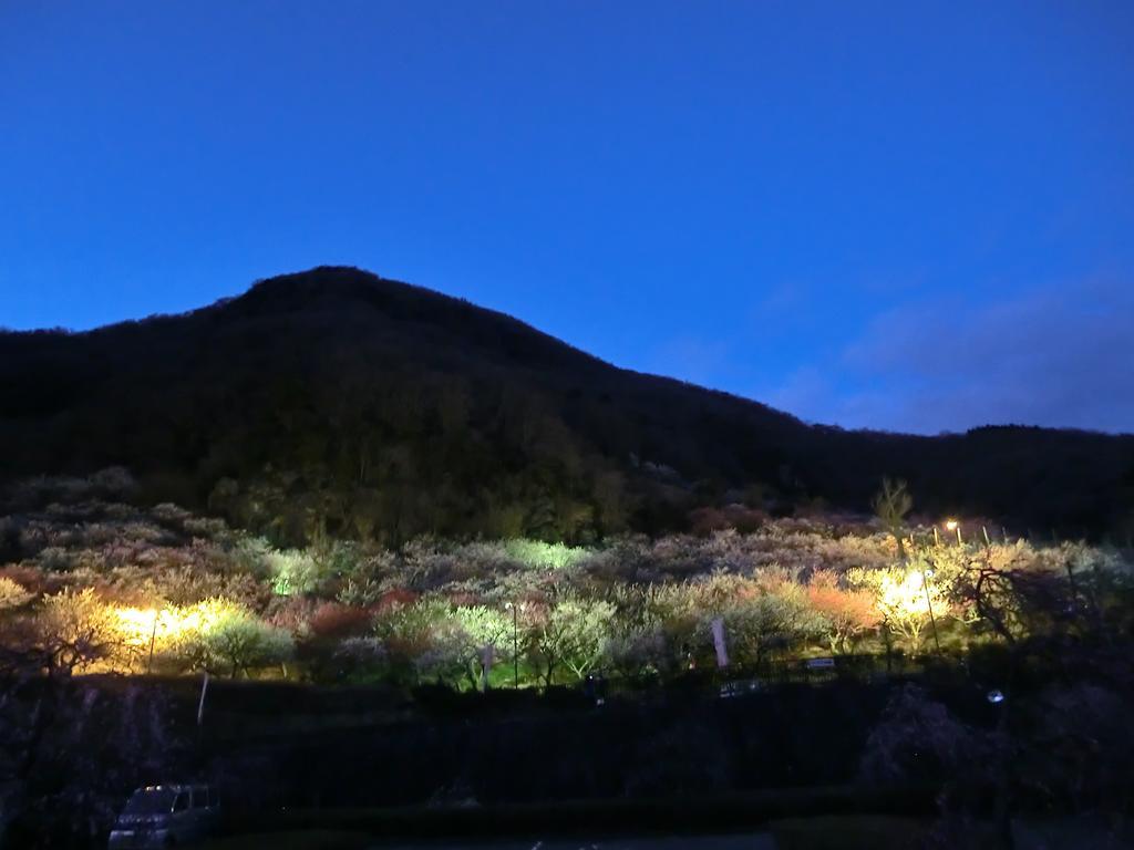 Yugawara Onsen Kawasegien Isuzu Hotel Atami  Eksteriør billede