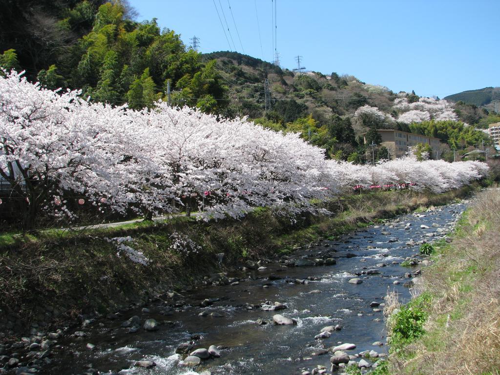 Yugawara Onsen Kawasegien Isuzu Hotel Atami  Eksteriør billede