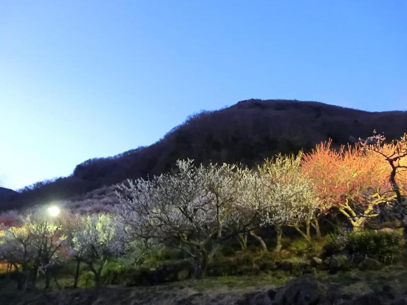 Yugawara Onsen Kawasegien Isuzu Hotel Atami  Eksteriør billede